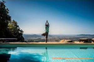 yoga_valdonica